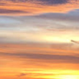 Meet your Posher, Billy